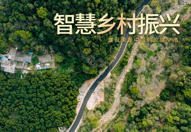 依靠科技增產(chǎn)增收 天津發(fā)展智慧農(nóng)業(yè)推進鄉(xiāng)村振興