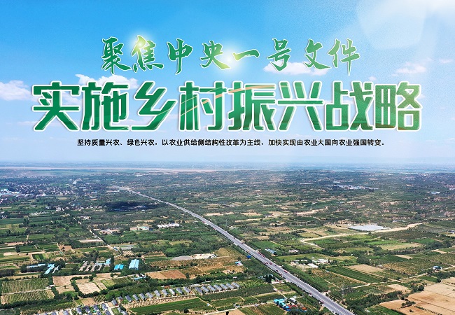 【中央一號文件】中央一號文件智慧農(nóng)業(yè)相關(guān)信息解讀！