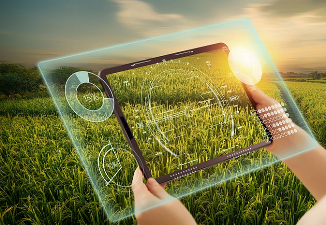大數(shù)據(jù)在智慧農(nóng)業(yè)的應(yīng)用