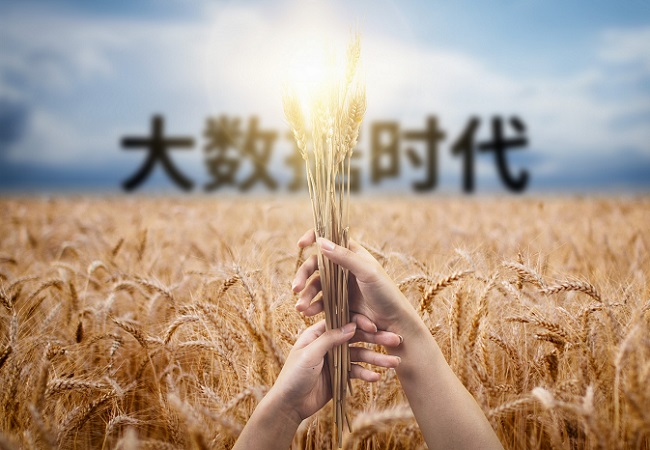 大數(shù)據(jù)廣泛應(yīng)用于智慧農(nóng)業(yè)領(lǐng)域