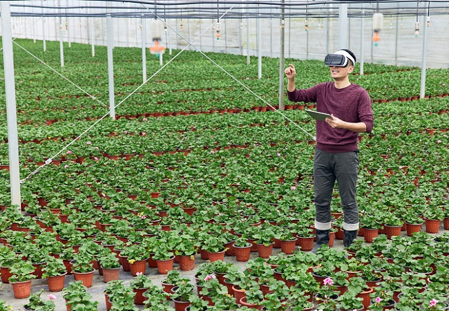 科技改變農業(yè)，揭秘智慧農業(yè)的奧秘