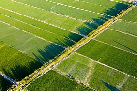 新疆阿克蘇：應用太陽能殺蟲燈防治農(nóng)田蟲害！