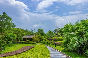 景觀(guān)式太陽(yáng)能殺蟲(chóng)燈，應(yīng)用于嵊泗縣基湖村！