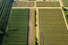 太陽(yáng)能殺蟲燈多少畝農(nóng)田安裝一臺(tái)