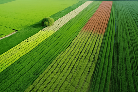 太陽(yáng)能殺蟲燈能有效殺死多大面積