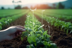 數(shù)字農(nóng)場簡介