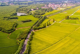 為什么說現(xiàn)代農(nóng)業(yè)產(chǎn)業(yè)園是趨勢？