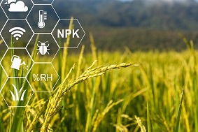 智能蟲(chóng)情測(cè)報(bào)系統(tǒng)特點(diǎn)介紹