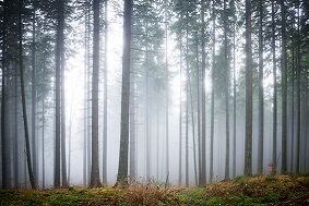 松材線蟲分離器優(yōu)勢(shì)介紹