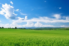 高標(biāo)準(zhǔn)農(nóng)田的優(yōu)勢有哪些