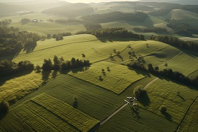 什么是農(nóng)林四情監(jiān)測系統(tǒng)