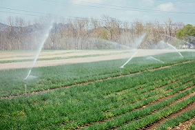 水肥一體化系統(tǒng)特點(diǎn)介紹